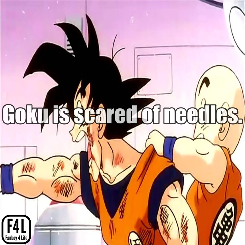 Goku Fact
