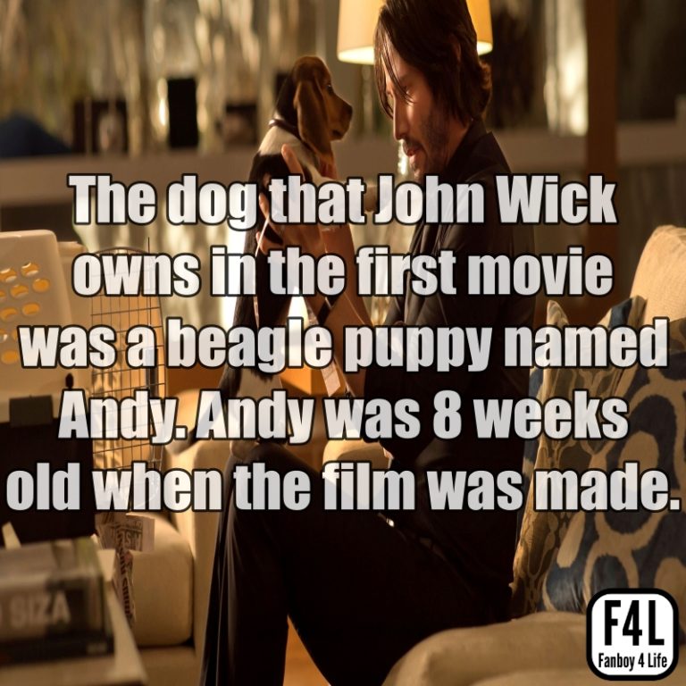 John Wick: 15 Incredible Facts - Fanboy 4 Life