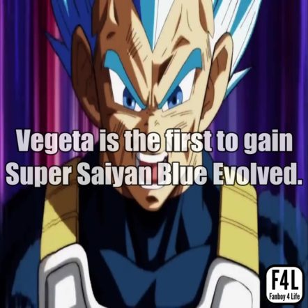 Vegeta: 15 Awesome Facts - Fanboy 4 Life