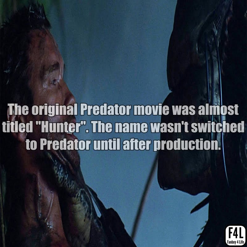 Predator