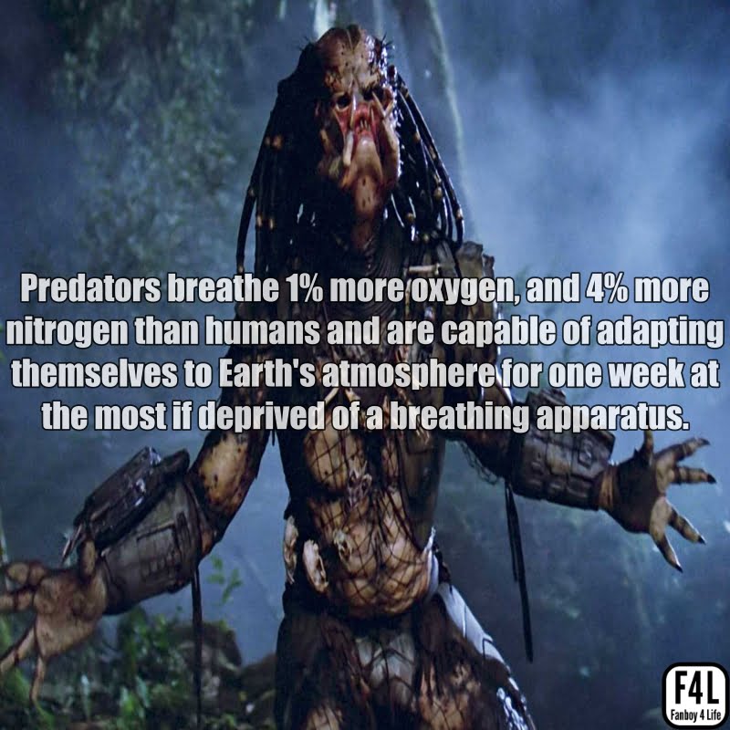 Predator