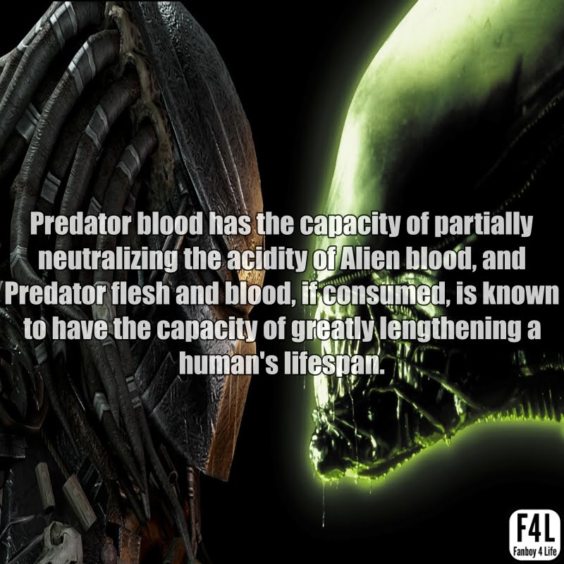 Predator