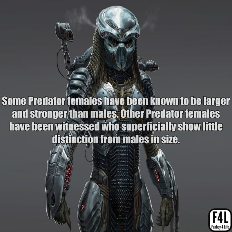 The Predator (Yautja): 20 Thrilling Facts 5