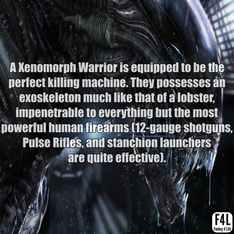 Xenomorph Alien