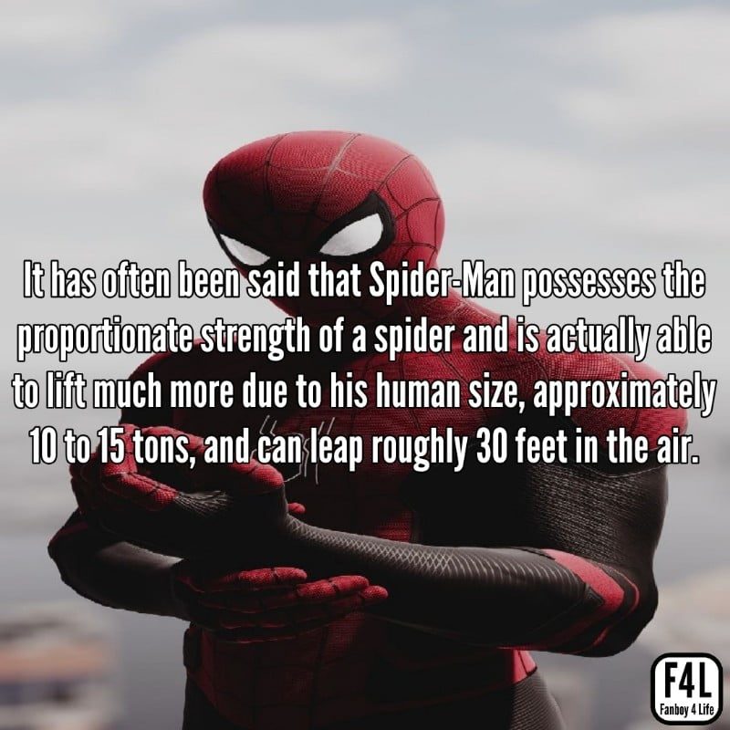 Spider-Man: 20 Amazing Facts - Fanboy 4 Life