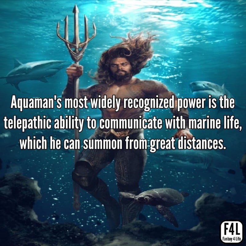 Aquaman in the sea