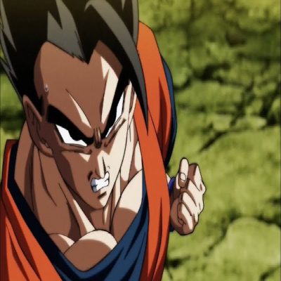 Gohan: 15 Awesome Facts