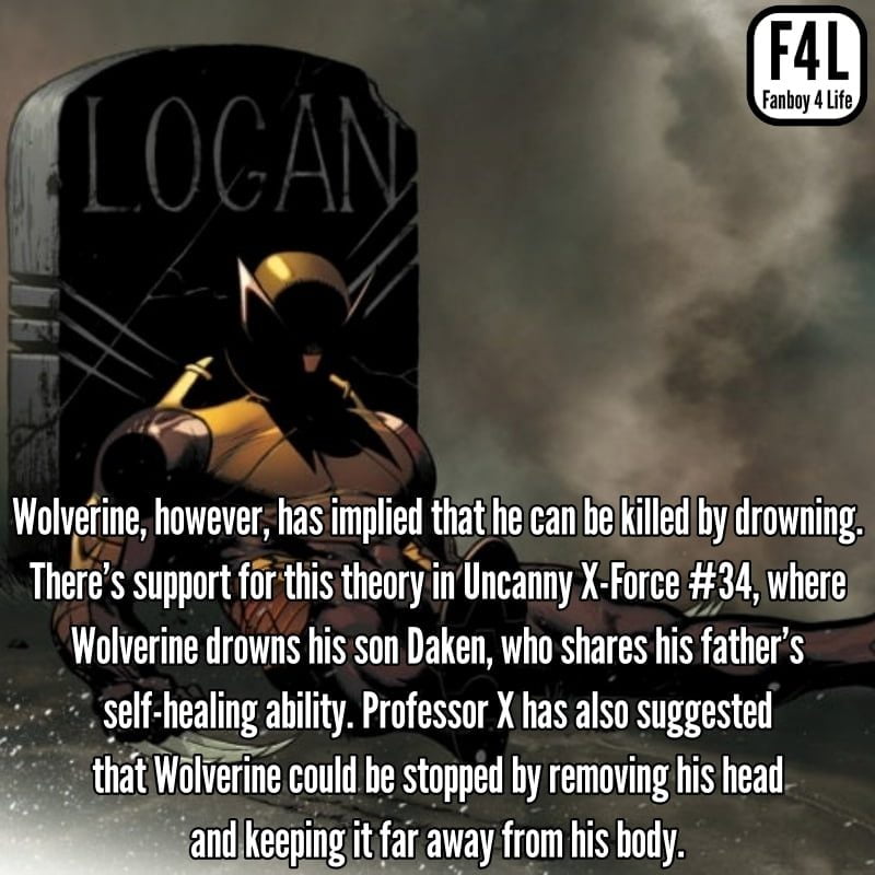 Wolverine Fact