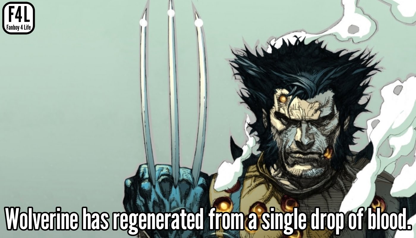 Wolverine Fact