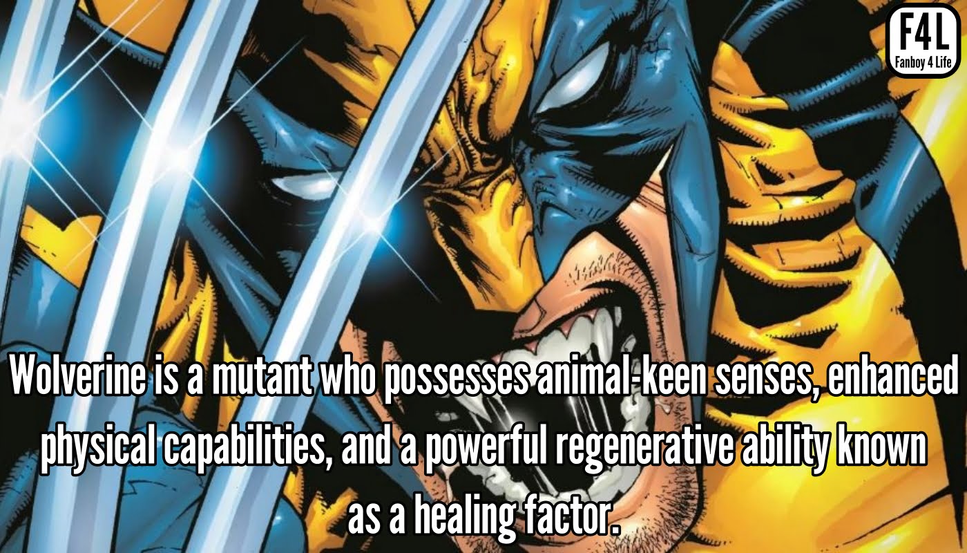 19 Awesome Facts On Wolverine