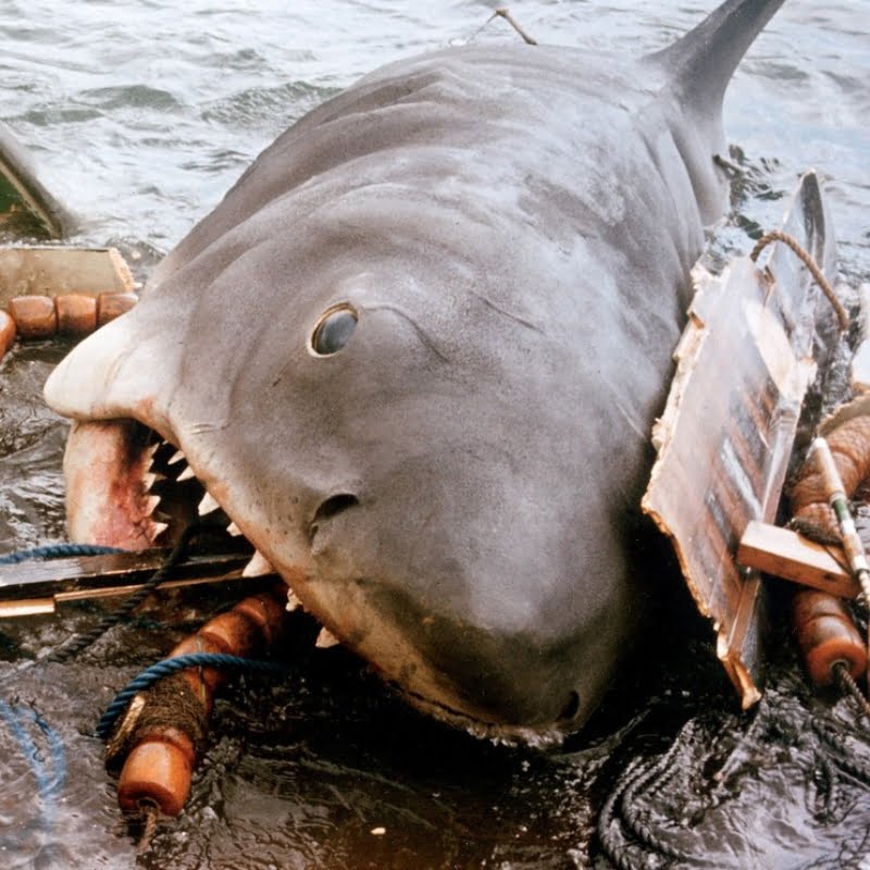 Horror Iconic Jaws