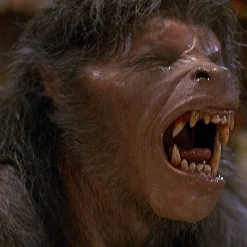 An American Werewolf in London (1981)