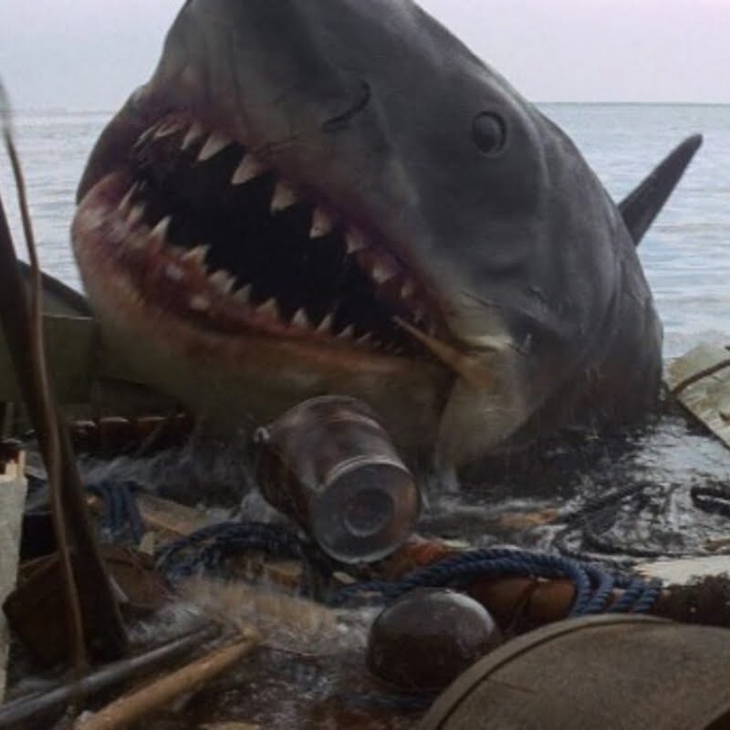 Jaws (1975)