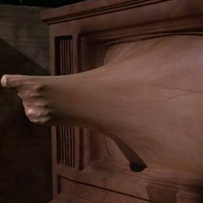 Videodrome (1983)